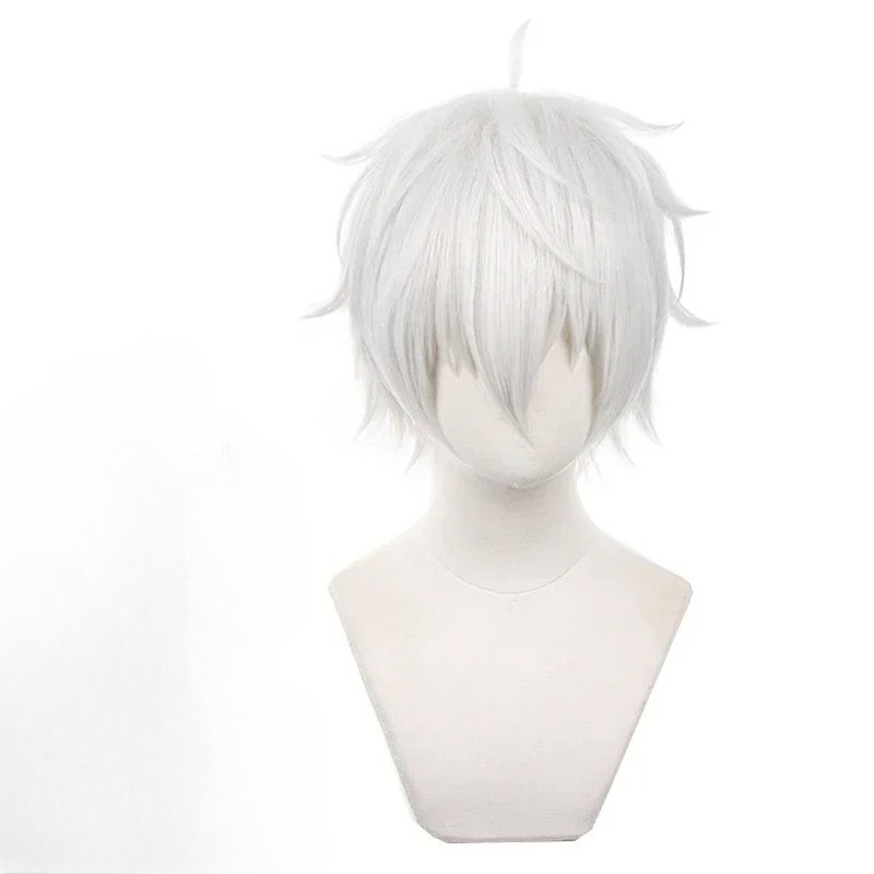 Peruca de Cosplay Anime Seishi - Cosplay Anime White Hair avaliação e preço